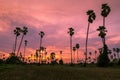 Landscape silhouette sugar palm tree twilight time Royalty Free Stock Photo