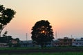 Landscape silhouette sunset dusk evening trees Skyline orange Royalty Free Stock Photo