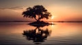 Landscape of silhouette a tree in the middle of the sea or lake reflection on the water, in the evening sunset golden hour clear Royalty Free Stock Photo