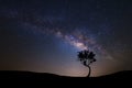 Landscape silhouette of tree with milky way galaxy and space dust in the universe, Night starry sky with stars Royalty Free Stock Photo