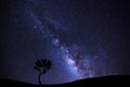 Landscape silhouette of tree with milky way galaxy and space dust in the universe, Night starry sky with stars Royalty Free Stock Photo