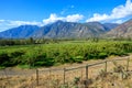 Landscape Similkameen Valley Apple Tree Orchard