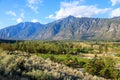 Landscape Similkameen Valley Apple Tree Orchard