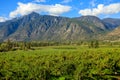 Landscape Similkameen Valley Apple Tree Orchard