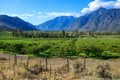 Landscape Similkameen Valley Apple Tree Orchard