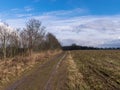 Landscape with a simple road, early spring