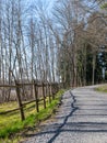 Landscape with a simple road, early spring