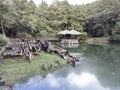 Landscape of Sister ponds in Alishan National Forest Recreation Area in Taiwan