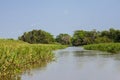 Landscape of Sky,Jungle and River, Pantanal, Brazil