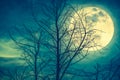 Landscape of sky with super moon behind silhouette of dead tree. Royalty Free Stock Photo