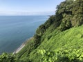 Landscape slope of subtropical forest with different green plants and tress on the black sea coast with blue sky on sunny day.