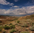 Landscape of the slopes canyon in Ustyurt