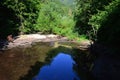 Landscape with small calm summer mountain pond, reflecting dense forest foliage around