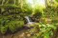 Landscape with Small forest waterfall