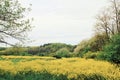 Landscape of the small hill in Bourgogne region, Vezeley, France