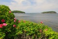 Landscape of small islands in Frenchman Bay at Bar Harbor, Maine, USA Royalty Free Stock Photo