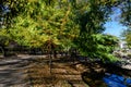 Landscape with the small lake and green and yellow trees in Ion Voicu Park, also known as Ioanid Park, in Bucharest, Romania, in a