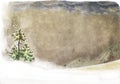 Landscape with snow-clad fir tree