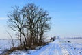 Landscape with snow covered field road and naked broadleaf trees between fields on the left side, round hay bales in background. Royalty Free Stock Photo