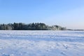 Landscape of snow-covered field and trees are spruce and birch