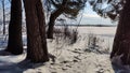 Landscape with snow forest and sun in winter or early spring day Royalty Free Stock Photo