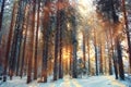 Landscape snow forest in winter Royalty Free Stock Photo