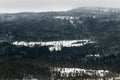 Landscape of snow on pine tree forest on hill Royalty Free Stock Photo