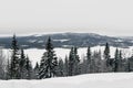 Landscape of snow on pine trees on hill Royalty Free Stock Photo