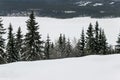 Landscape of snow on pine trees on hill Royalty Free Stock Photo