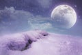 Landscape at snowfall with super moon. Serenity nature background.