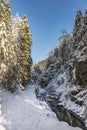 Winter creek with snow forest in frosty sunny day Royalty Free Stock Photo