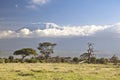 Landscape of the snowy peak of Mount Kilimanjaro covered with clouds under sunlight Royalty Free Stock Photo