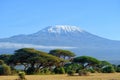 Landscape of the snowy peak of Mount Kilimanjaro covered with clouds under sunlight with a safari Royalty Free Stock Photo