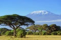 Landscape of the snowy peak of Mount Kilimanjaro covered with clouds under sunlight with a safari Royalty Free Stock Photo