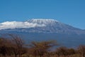 Landscape of the snowy peak of Mount Kilimanjaro covered with clouds under sunlight with a safari Royalty Free Stock Photo