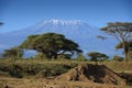 Landscape of the snowy peak of Mount Kilimanjaro covered with clouds under sunlight with a safari Royalty Free Stock Photo