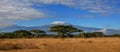 Landscape of the snowy peak of Mount Kilimanjaro covered with clouds under sunlight with a safari Royalty Free Stock Photo