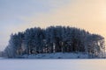 Landscape with snowy pine trees on lake island at winter season, sunset over icy surface