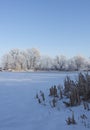 Landscape With Snowy Trees. Frozen Lake Royalty Free Stock Photo