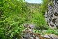 Landscape of the somesul rece gorge and river