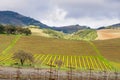 Landscape in Sonoma Valley at the beginning of spring, California Royalty Free Stock Photo