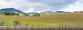 Hills covered in vineyards in Sonoma Valley at the beginning of spring, California Royalty Free Stock Photo