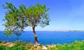 Landscape of Sounion in Attica Greece