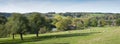 Landscape of south limburg with white cows and trees on sunny day in the fall Royalty Free Stock Photo