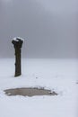 Landscape in the south of the Netherlands of a small pond and a dead tree trunk in the fields, which is covered in snow on a misty Royalty Free Stock Photo