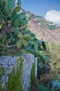 Naples, Rome, Italy, Troyan, Positano Royalty Free Stock Photo