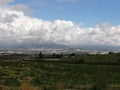 Landscape of spring- Alhaurin de la Torre-andalusia