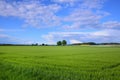 Landscape in spring in Bavaria with green grain fields in front of a blue sky with clouds Royalty Free Stock Photo