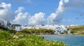 Spring landscape of local town on Paros island, Greece Royalty Free Stock Photo