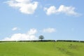 Landscape in spring - Green Planet Royalty Free Stock Photo
